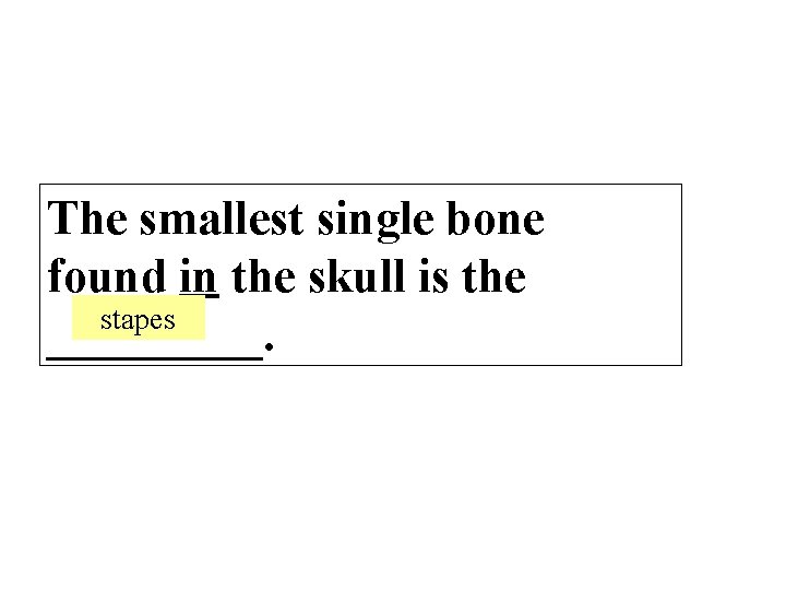 The smallest single bone found in the skull is the stapes _____. 