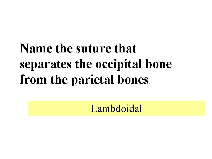 Name the suture that separates the occipital bone from the parietal bones. Lambdoidal 