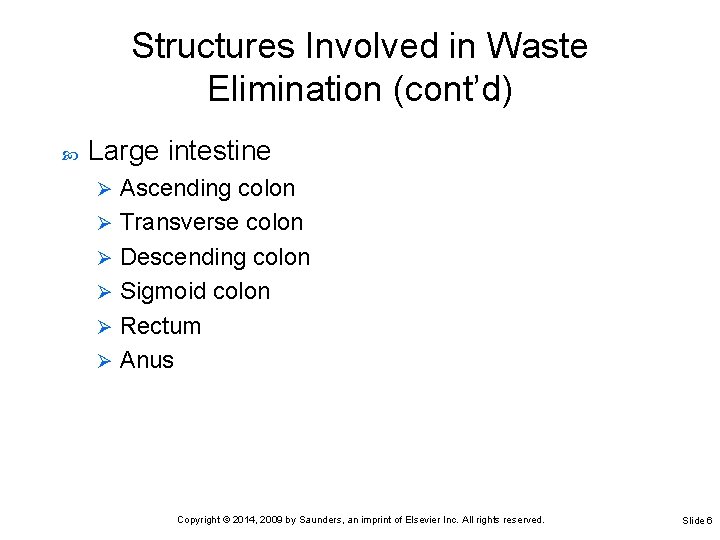 Structures Involved in Waste Elimination (cont’d) Large intestine Ascending colon Ø Transverse colon Ø