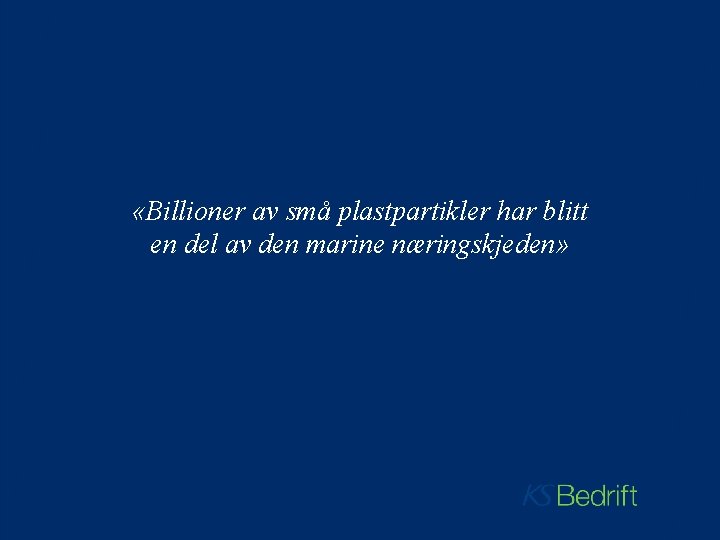  «Billioner av små plastpartikler har blitt en del av den marine næringskjeden» 