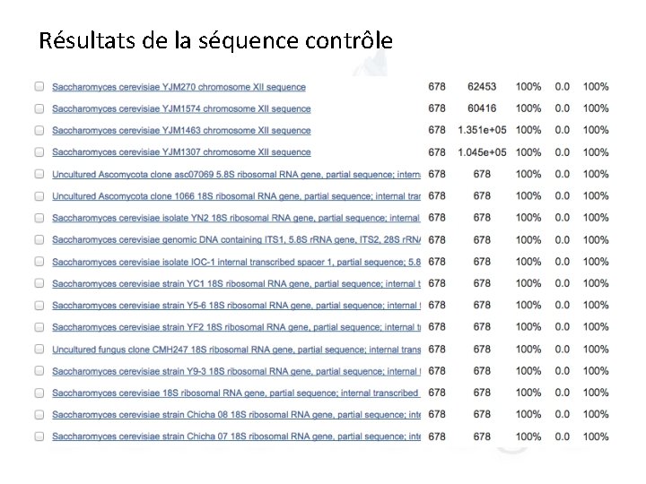 Résultats de la séquence contrôle 