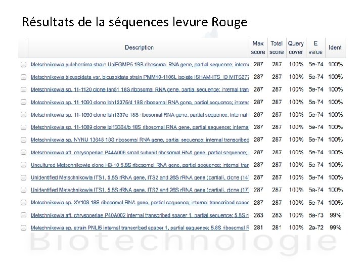 Résultats de la séquences levure Rouge 