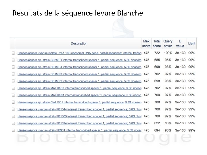 Résultats de la séquence levure Blanche 