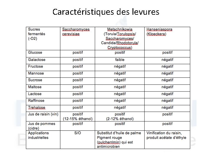 Caractéristiques des levures 