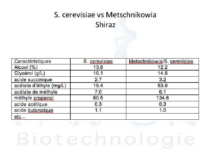 S. cerevisiae vs Metschnikowia Shiraz 