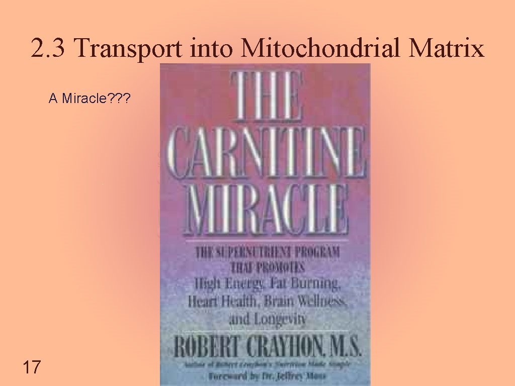 2. 3 Transport into Mitochondrial Matrix A Miracle? ? ? 17 