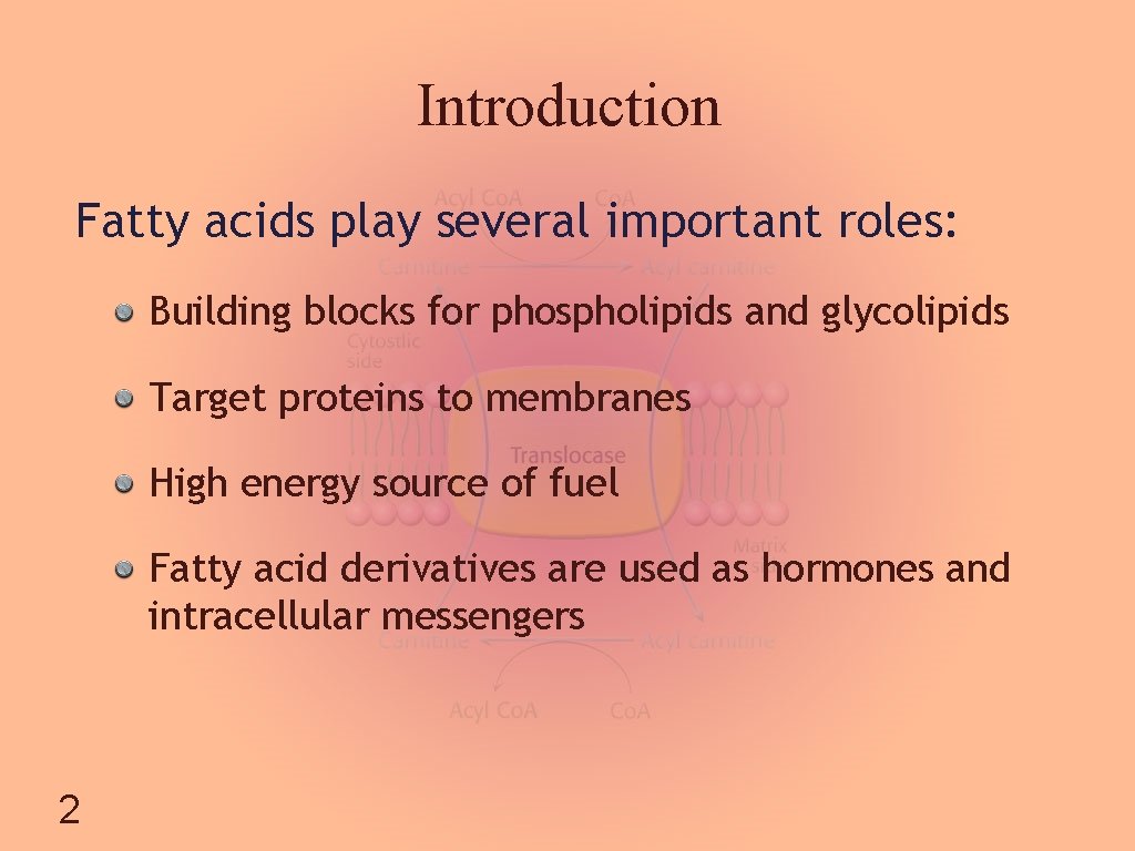 Introduction Fatty acids play several important roles: Building blocks for phospholipids and glycolipids Target