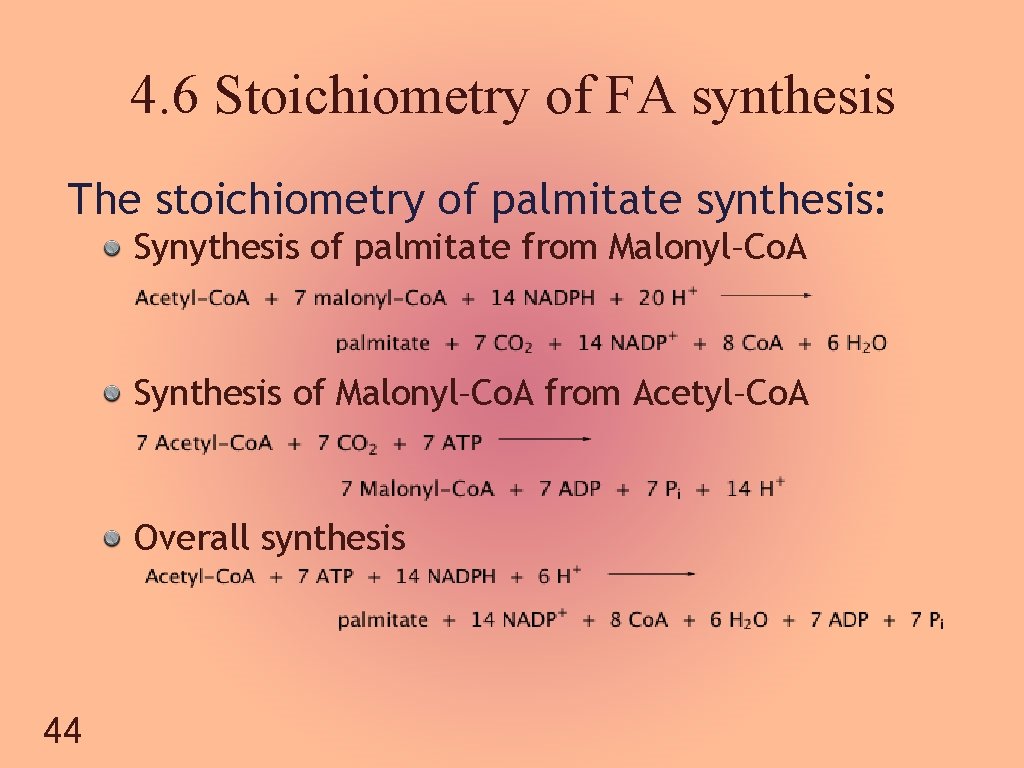 4. 6 Stoichiometry of FA synthesis The stoichiometry of palmitate synthesis: Synythesis of palmitate