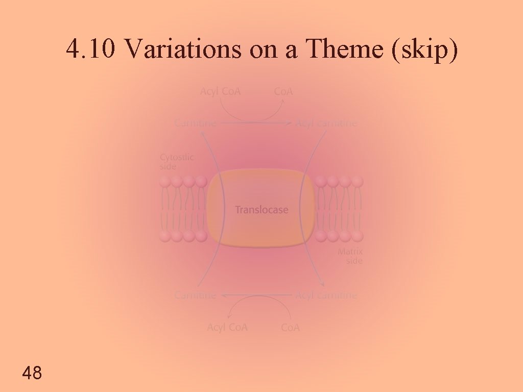 4. 10 Variations on a Theme (skip) 48 