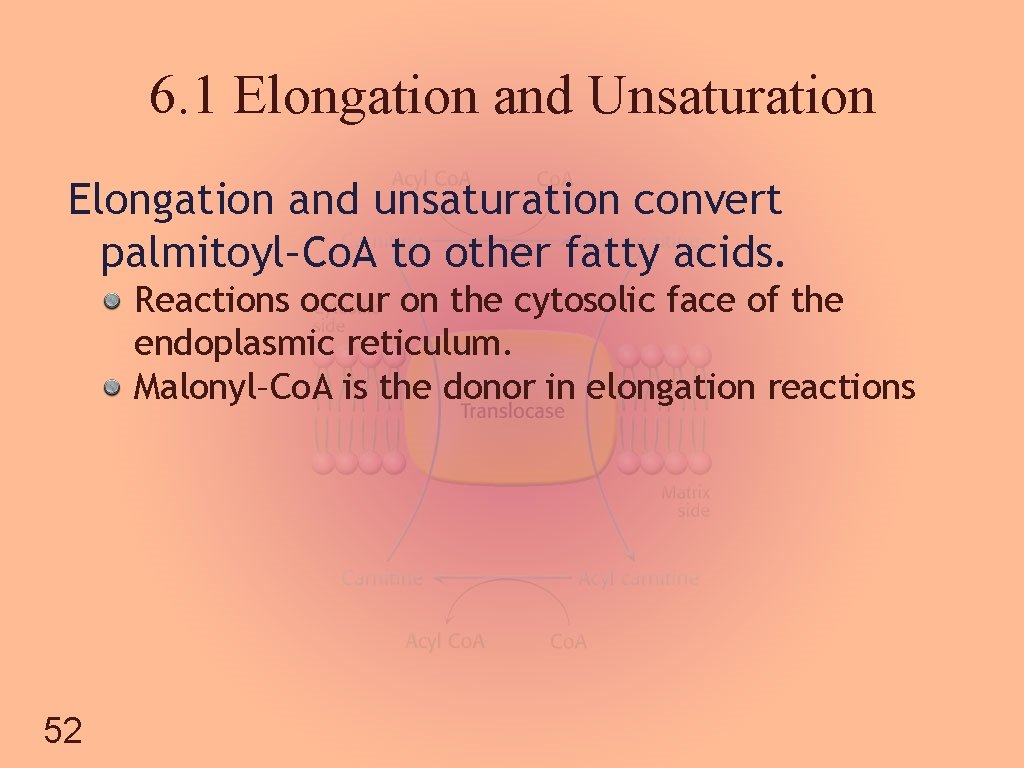 6. 1 Elongation and Unsaturation Elongation and unsaturation convert palmitoyl–Co. A to other fatty