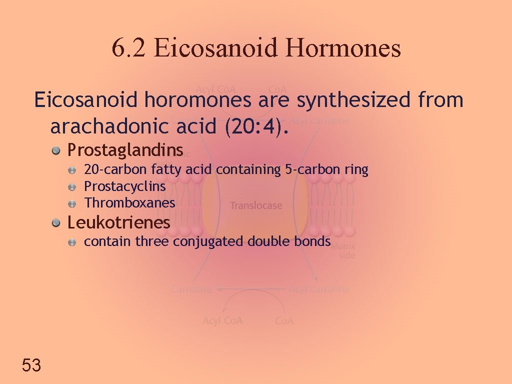6. 2 Eicosanoid Hormones Eicosanoid horomones are synthesized from arachadonic acid (20: 4). Prostaglandins