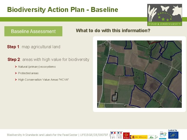 Biodiversity Action Plan - Baseline What to do with this information? Step 1: map