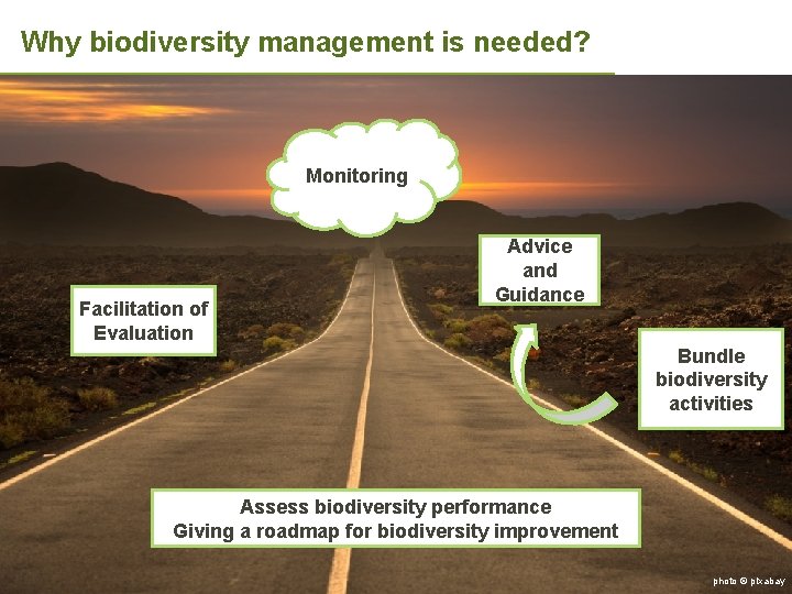 Why biodiversity management is needed? Monitoring Facilitation of Evaluation Advice and Guidance Bundle biodiversity
