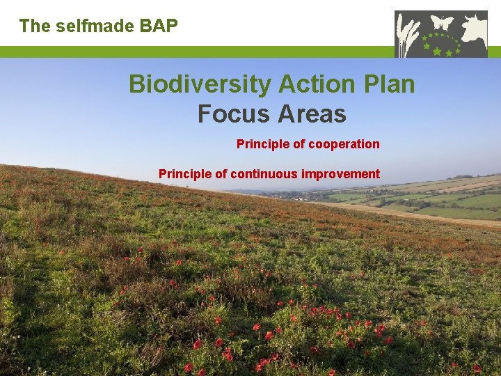 The selfmade BAP Biodiversity Action Plan Focus Areas Principle of cooperation Principle of continuous