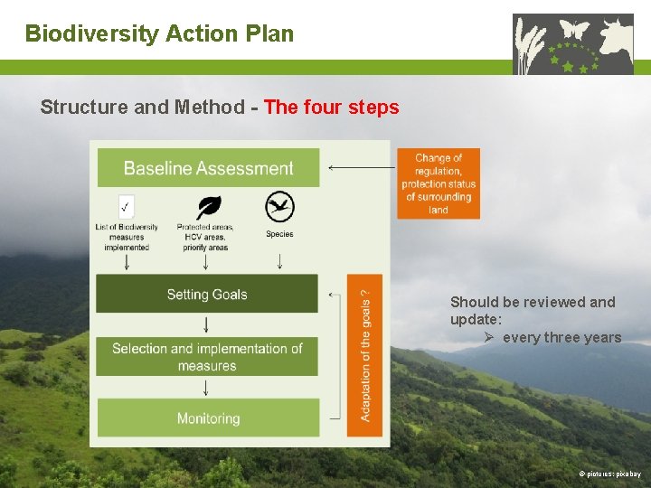 Biodiversity Action Plan Structure and Method - The four steps Should be reviewed and