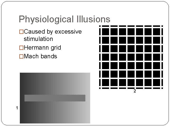 Physiological Illusions �Caused by excessive stimulation �Hermann grid �Mach bands 2 1 