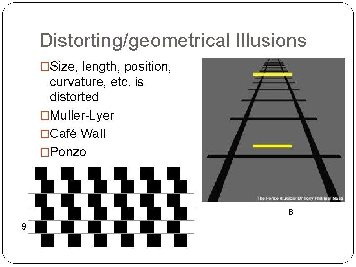 Distorting/geometrical Illusions �Size, length, position, curvature, etc. is distorted �Muller-Lyer �Café Wall �Ponzo 8