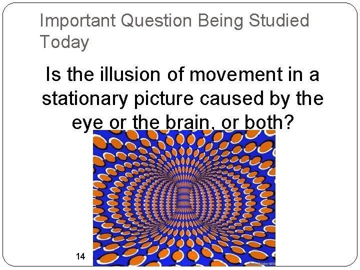 Important Question Being Studied Today Is the illusion of movement in a stationary picture