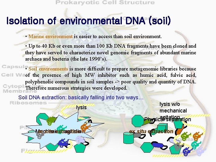 Isolation of environmental DNA (soil) • Marine environment is easier to access than soil