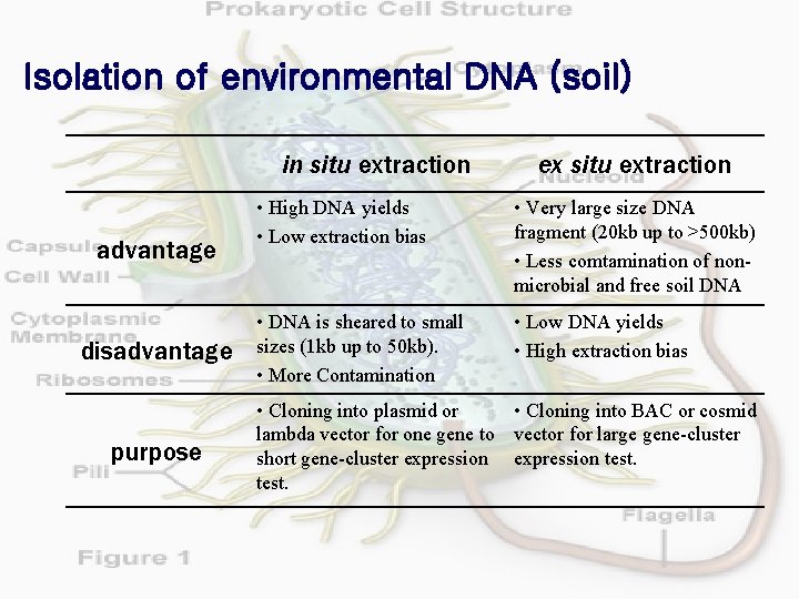 Isolation of environmental DNA (soil) in situ extraction advantage disadvantage purpose ex situ extraction