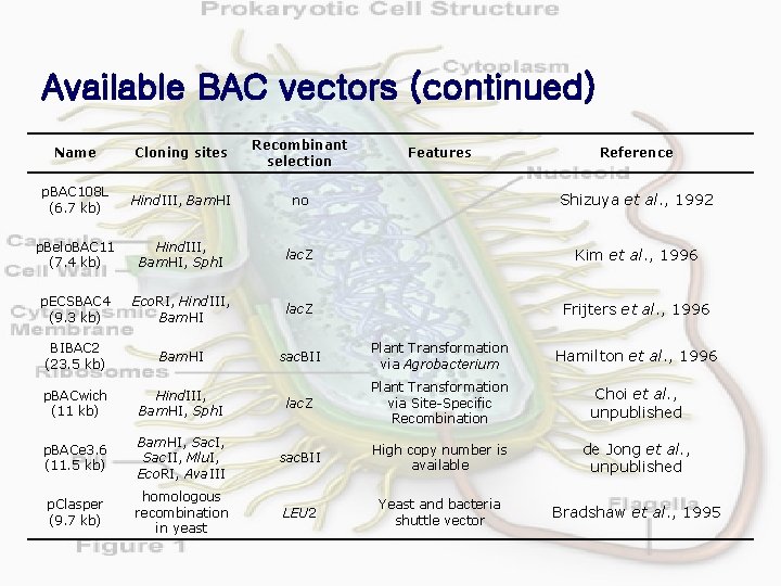 Available BAC vectors (continued) Name Cloning sites Recombinant selection p. BAC 108 L (6.