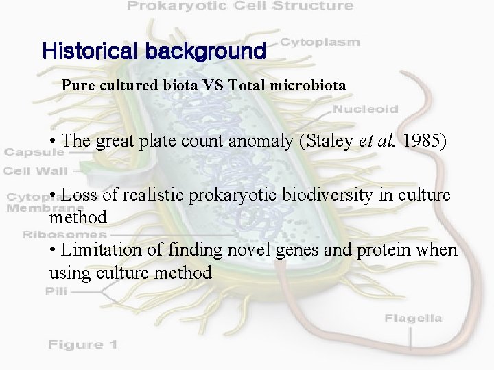 Historical background Pure cultured biota VS Total microbiota • The great plate count anomaly
