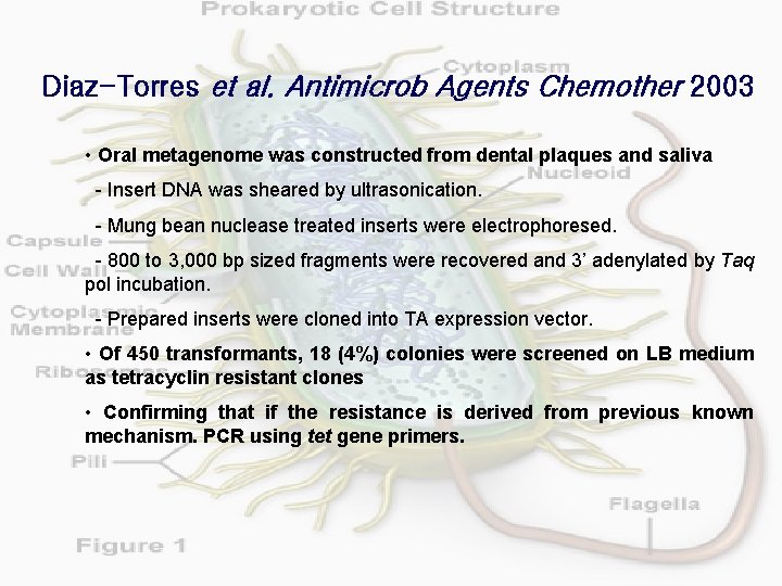 Diaz-Torres et al. Antimicrob Agents Chemother 2003 • Oral metagenome was constructed from dental