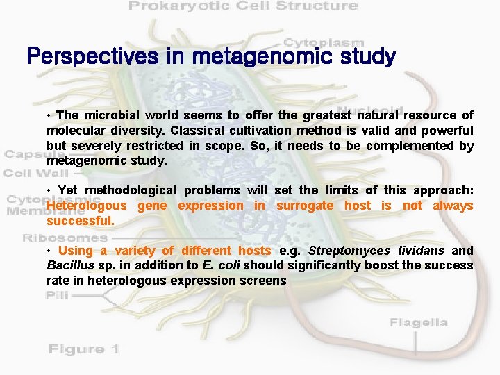 Perspectives in metagenomic study • The microbial world seems to offer the greatest natural