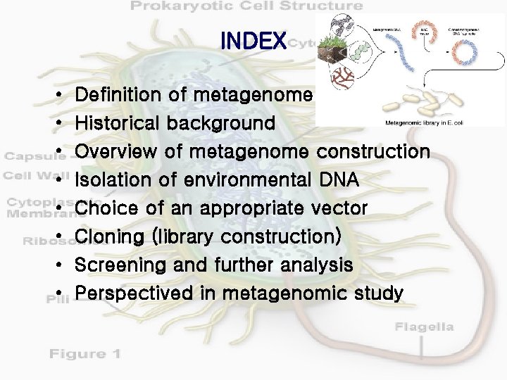 INDEX • • Definition of metagenome Historical background Overview of metagenome construction Isolation of