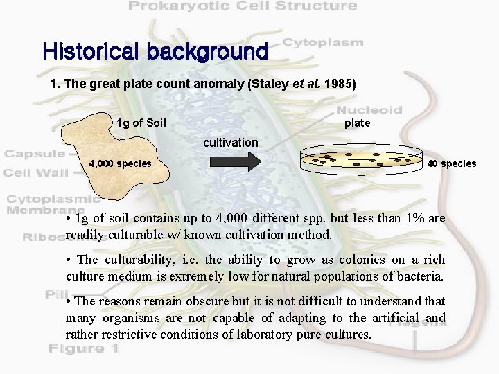 Historical background 1. The great plate count anomaly (Staley et al. 1985) 1 g