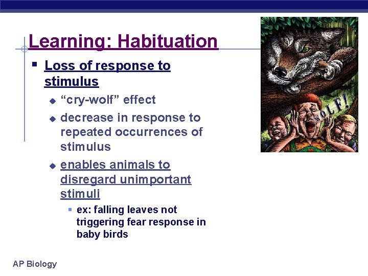 Learning: Habituation § Loss of response to stimulus u u u “cry-wolf” effect decrease