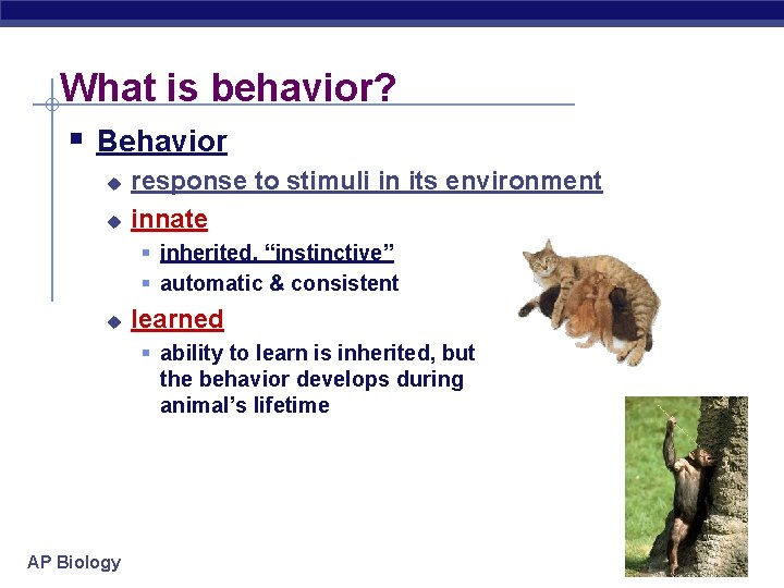 What is behavior? § Behavior u u response to stimuli in its environment innate