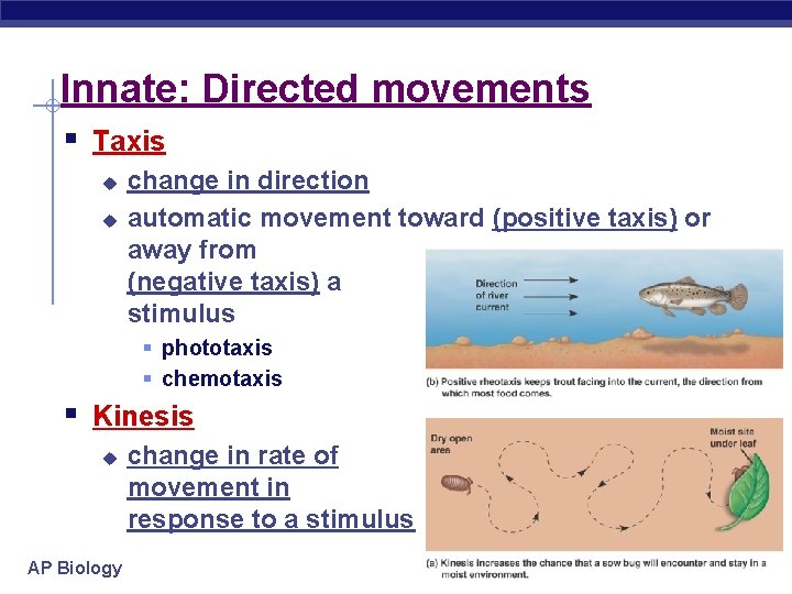 Innate: Directed movements § Taxis u u change in direction automatic movement toward (positive