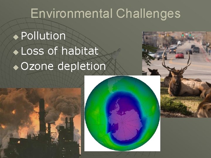 Environmental Challenges Pollution u Loss of habitat u Ozone depletion u 