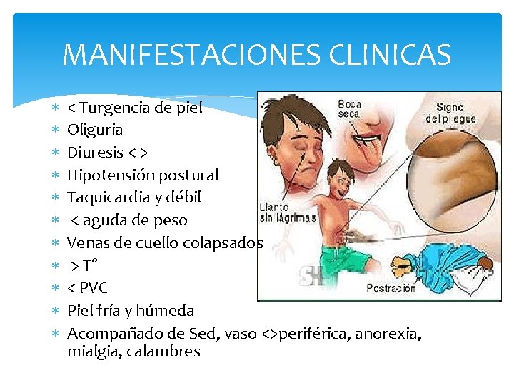 MANIFESTACIONES CLINICAS < Turgencia de piel Oliguria Diuresis < > Hipotensión postural Taquicardia y