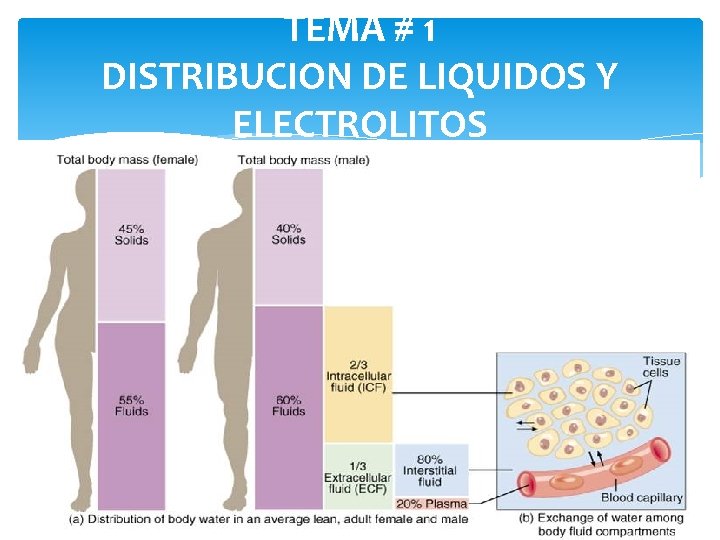 TEMA # 1 DISTRIBUCION DE LIQUIDOS Y ELECTROLITOS 