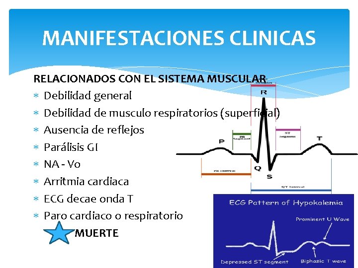MANIFESTACIONES CLINICAS RELACIONADOS CON EL SISTEMA MUSCULAR Debilidad general Debilidad de musculo respiratorios (superficial)