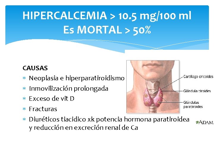 HIPERCALCEMIA > 10. 5 mg/100 ml Es MORTAL > 50% CAUSAS Neoplasia e hiperparatiroidismo