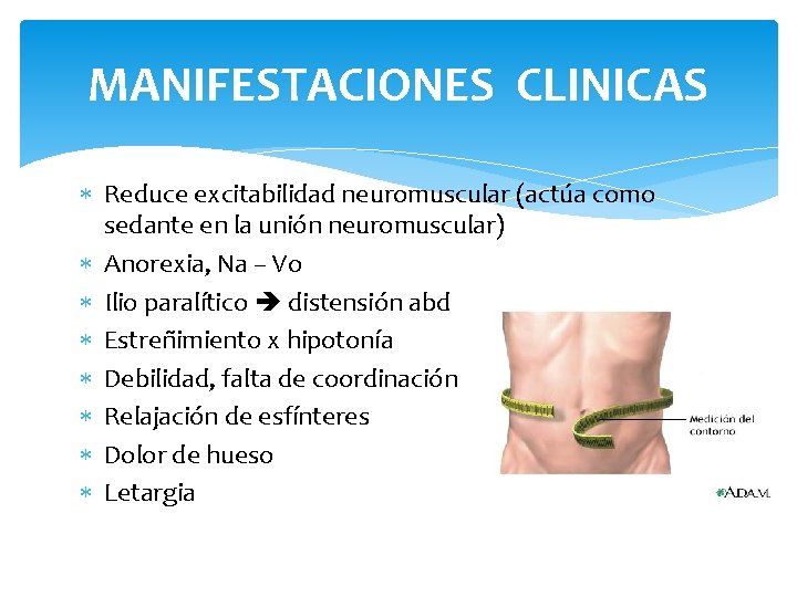 MANIFESTACIONES CLINICAS Reduce excitabilidad neuromuscular (actúa como sedante en la unión neuromuscular) Anorexia, Na