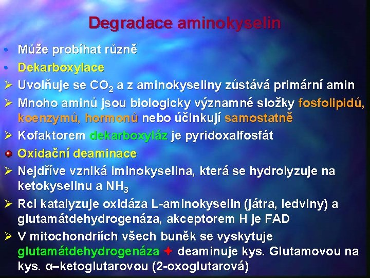 Degradace aminokyselin • Může probíhat různě • Dekarboxylace Ø Uvolňuje se CO 2 a