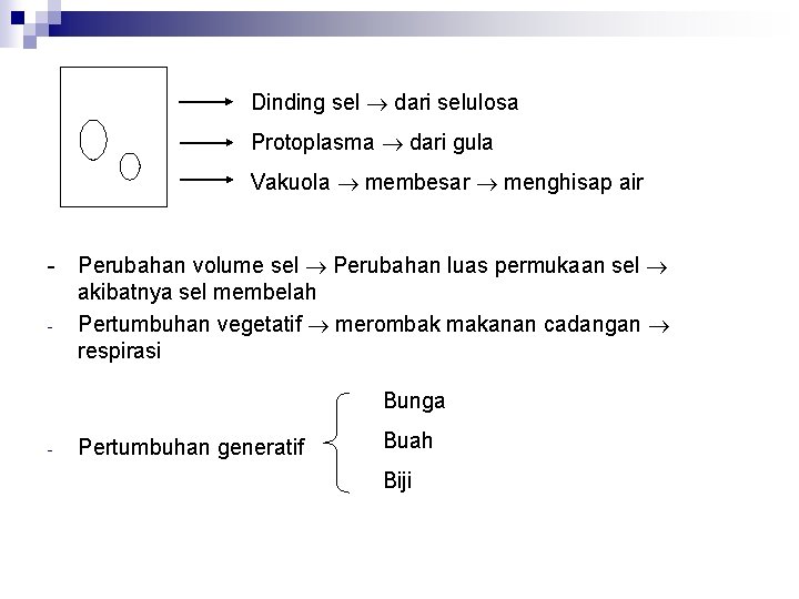 Dinding sel dari selulosa Protoplasma dari gula Vakuola membesar menghisap air - Perubahan volume