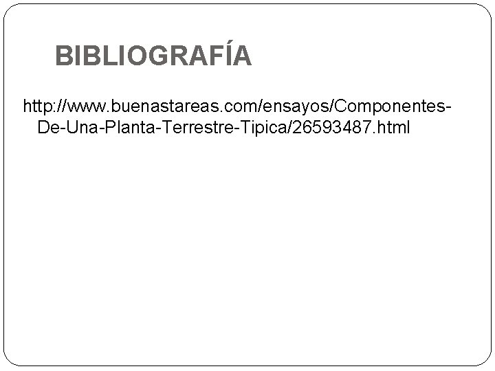BIBLIOGRAFÍA http: //www. buenastareas. com/ensayos/Componentes. De-Una-Planta-Terrestre-Tipica/26593487. html 
