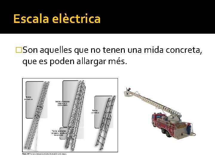 sonaquellesque no tenen una mida concreta, que es poden allargarmés. Escala elèctrica �Son aquelles sonaquellesque no tenen una mida concreta, que es poden allargarmés. Escala elèctrica �Son aquelles