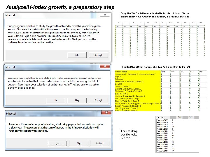 Analyze/H-index growth, a preparatory step Copy the Wo. S citation matrix xls-file to a