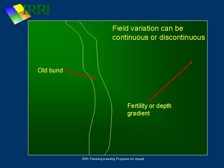 Field variation can be continuous or discontinuous Old bund Fertility or depth gradient IRRI: