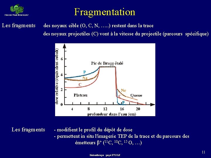 Université Claude Bernard Lyon 1 Fragmentation Les fragments des noyaux cible (O, C, N,