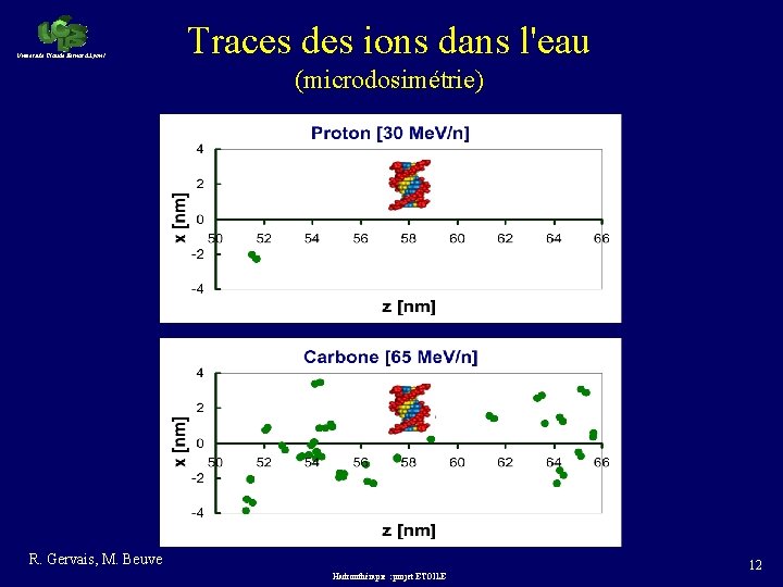 Université Claude Bernard Lyon 1 Traces des ions dans l'eau (microdosimétrie) R. Gervais, M.