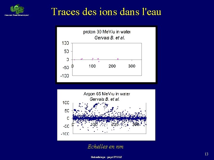 Université Claude Bernard Lyon 1 Traces des ions dans l'eau Echelles en nm Hadronthérapie