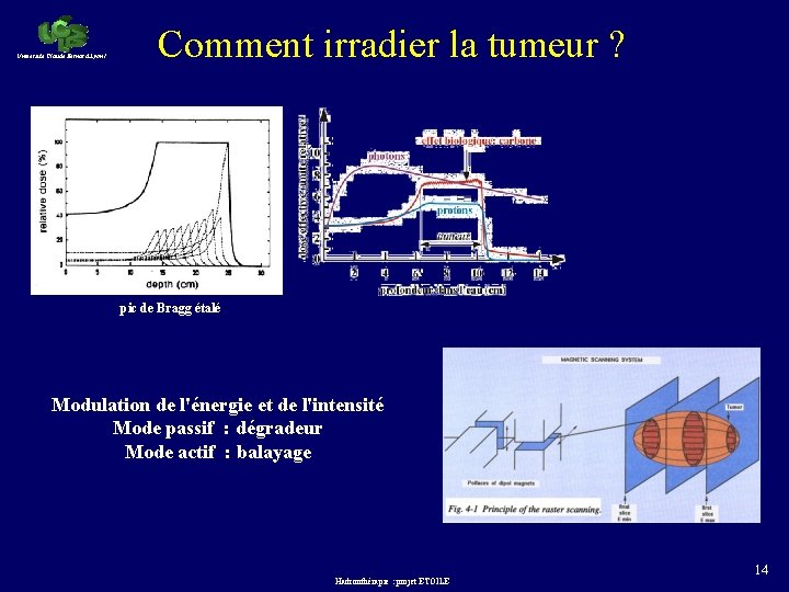 Université Claude Bernard Lyon 1 Comment irradier la tumeur ? pic de Bragg étalé