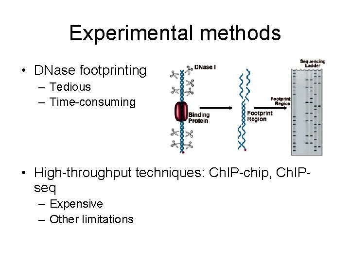 Experimental methods • DNase footprinting – Tedious – Time-consuming • High-throughput techniques: Ch. IP-chip,